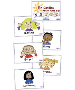 The Five Skills Flash Cards